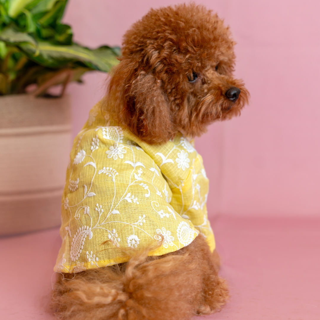 Yellow Floral Dog Kurta - Elegant Indian Dog Ethnic Wear Dress