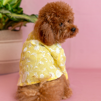 Yellow Floral Dog Kurta - Elegant Indian Dog Ethnic Wear Dress
