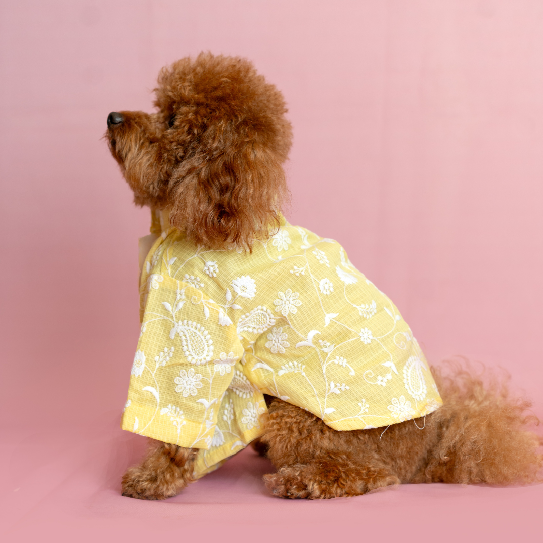 Yellow Floral Dog Kurta - Elegant Indian Dog Ethnic Wear Dress