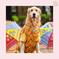 Yellow Floral Printed Dog Jacket Kurta Set - Indian Dog Ethnic Wear
