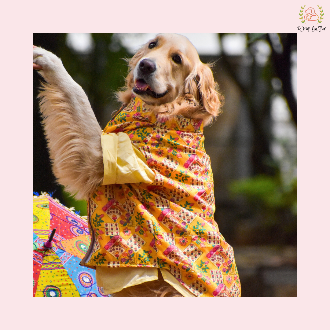 Yellow Floral Printed Dog Jacket Kurta Set - Indian Dog Ethnic Wear