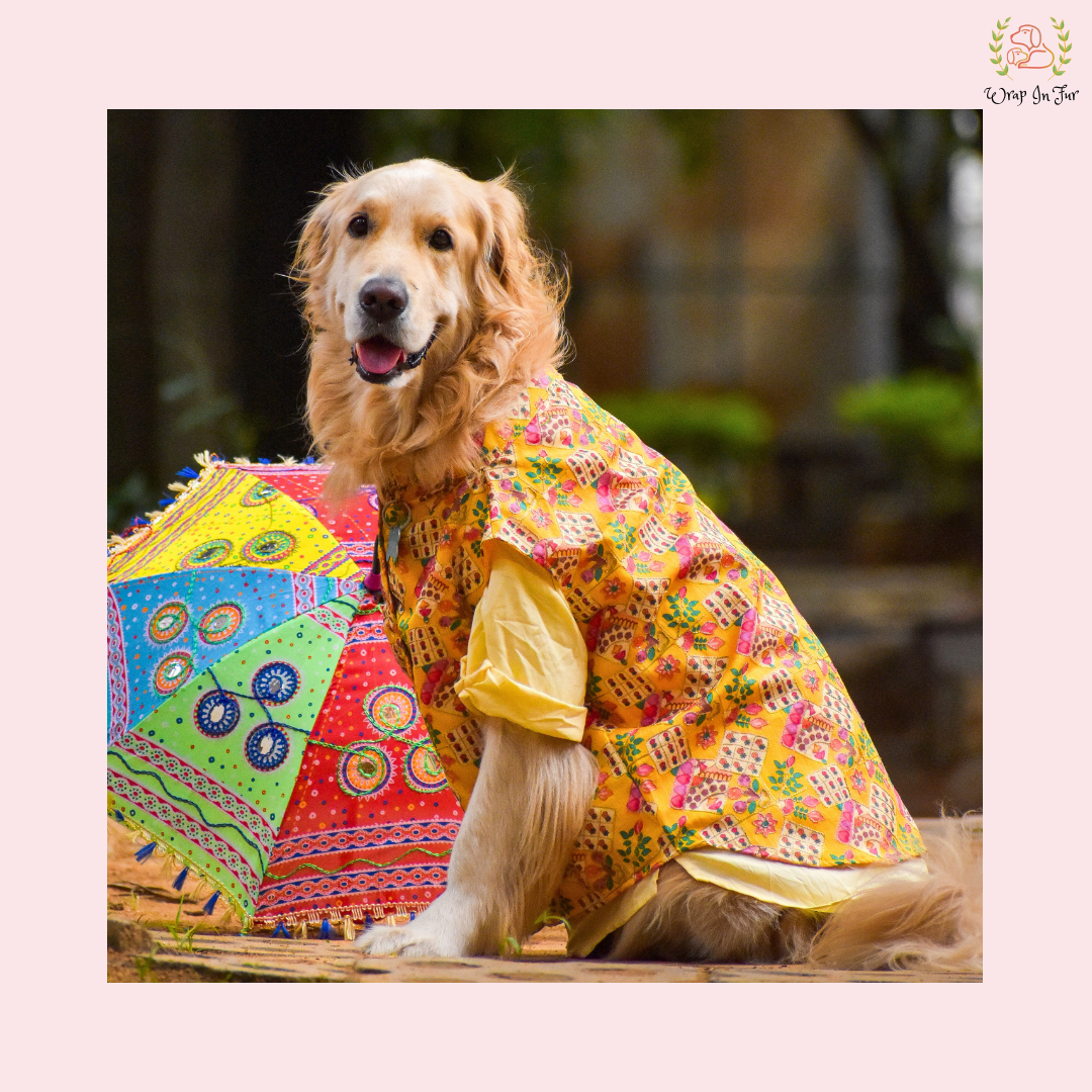 Yellow Floral Printed Dog Jacket Kurta Set - Indian Dog Ethnic Wear