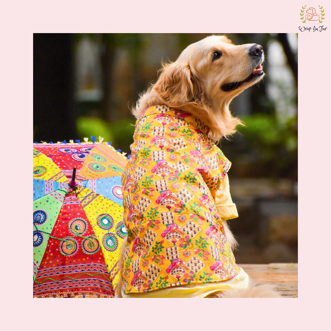 Yellow Floral Printed Dog Jacket Kurta Set - Indian Dog Ethnic Wear