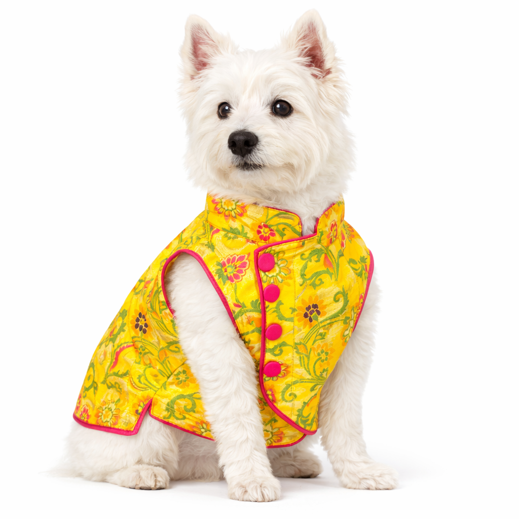 Yellow Flower Jacket Dog Sherwani