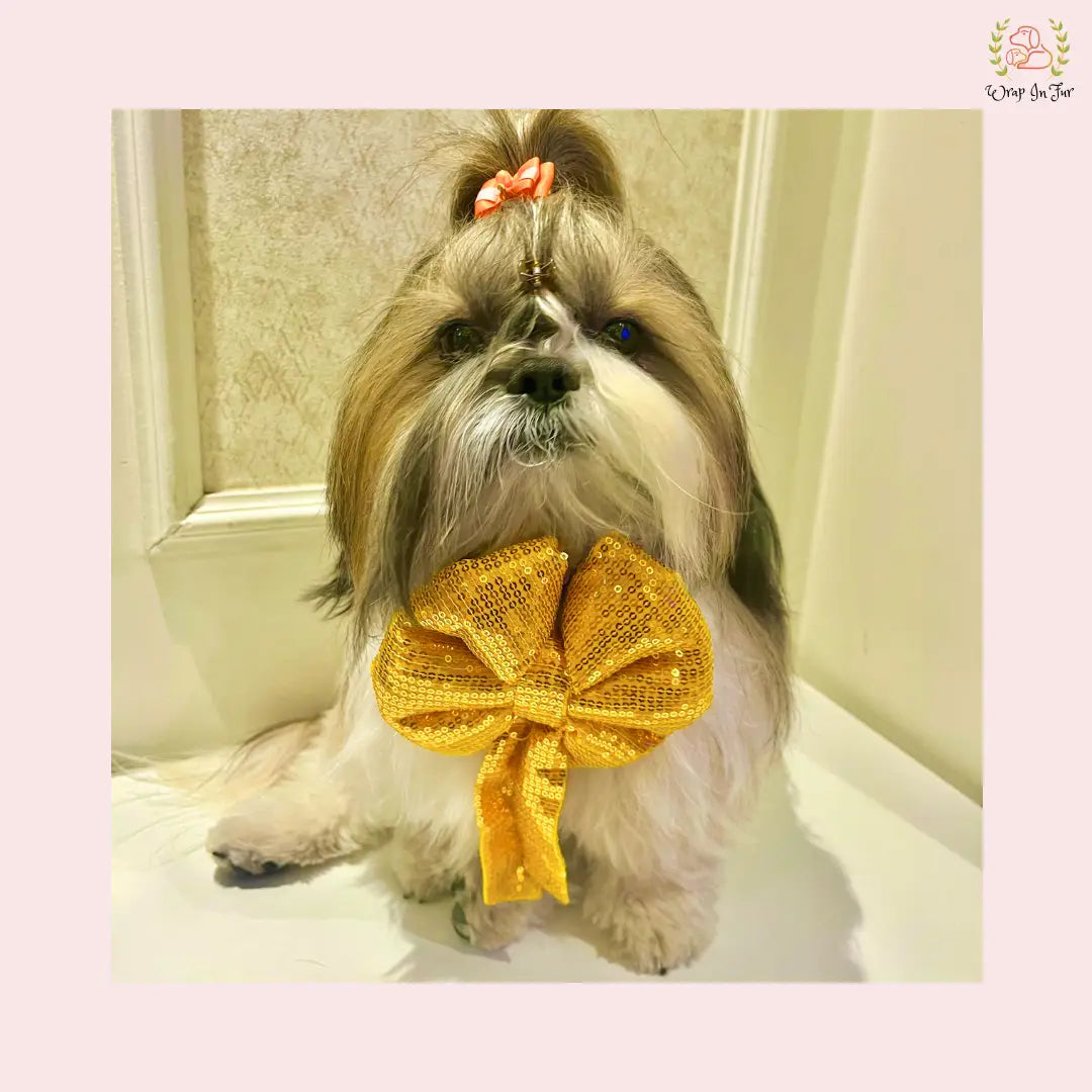 Yellow Gold Sequin Dog Bow - Shimmering Holiday Pet Hair Bow Accessory