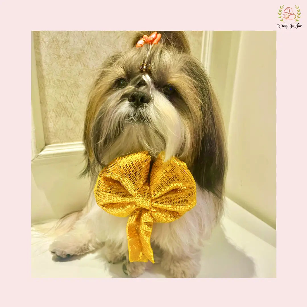 Yellow Gold Sequin Dog Bow - Shimmering Holiday Pet Hair Bow Accessory