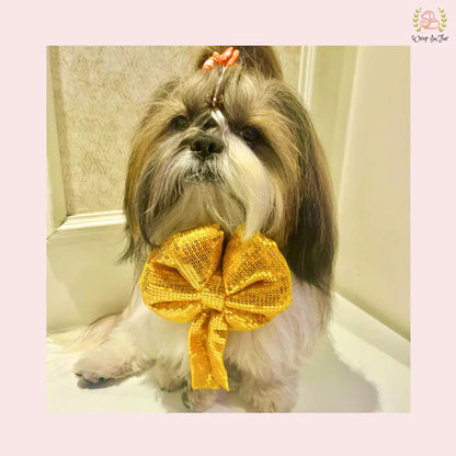 Yellow Gold Sequin Dog Bow - Shimmering Holiday Pet Hair Bow Accessory