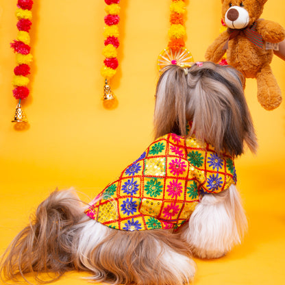 Yellow Jhilmil Dog Sherwani