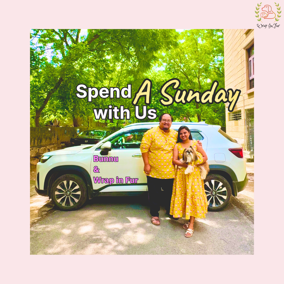 Yellow Lotus Dog Kurta Set - Twinning Indian Dog Ethnic Wear