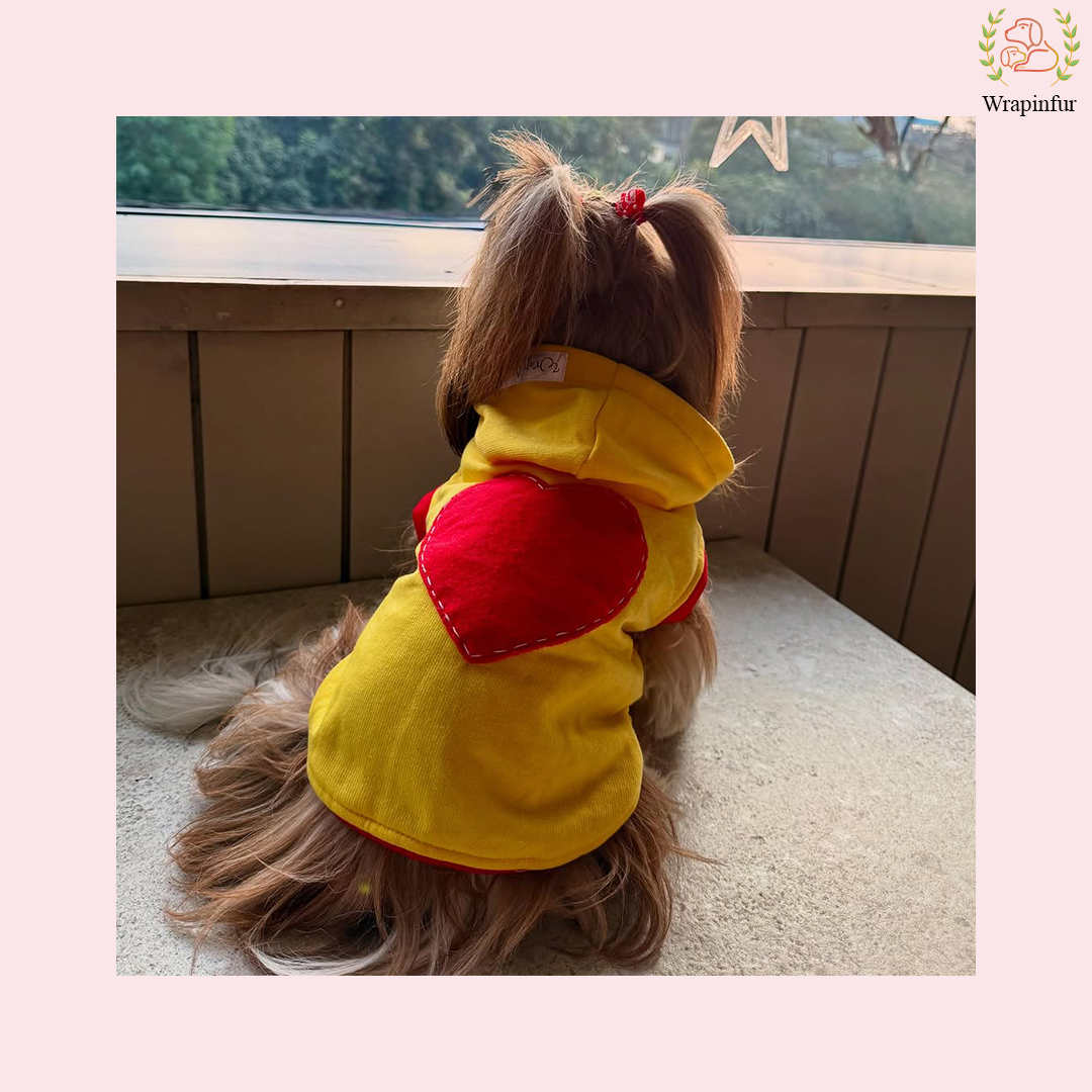 Yellow Love Sweatshirt – Warm & Stylish Pet Hoodie