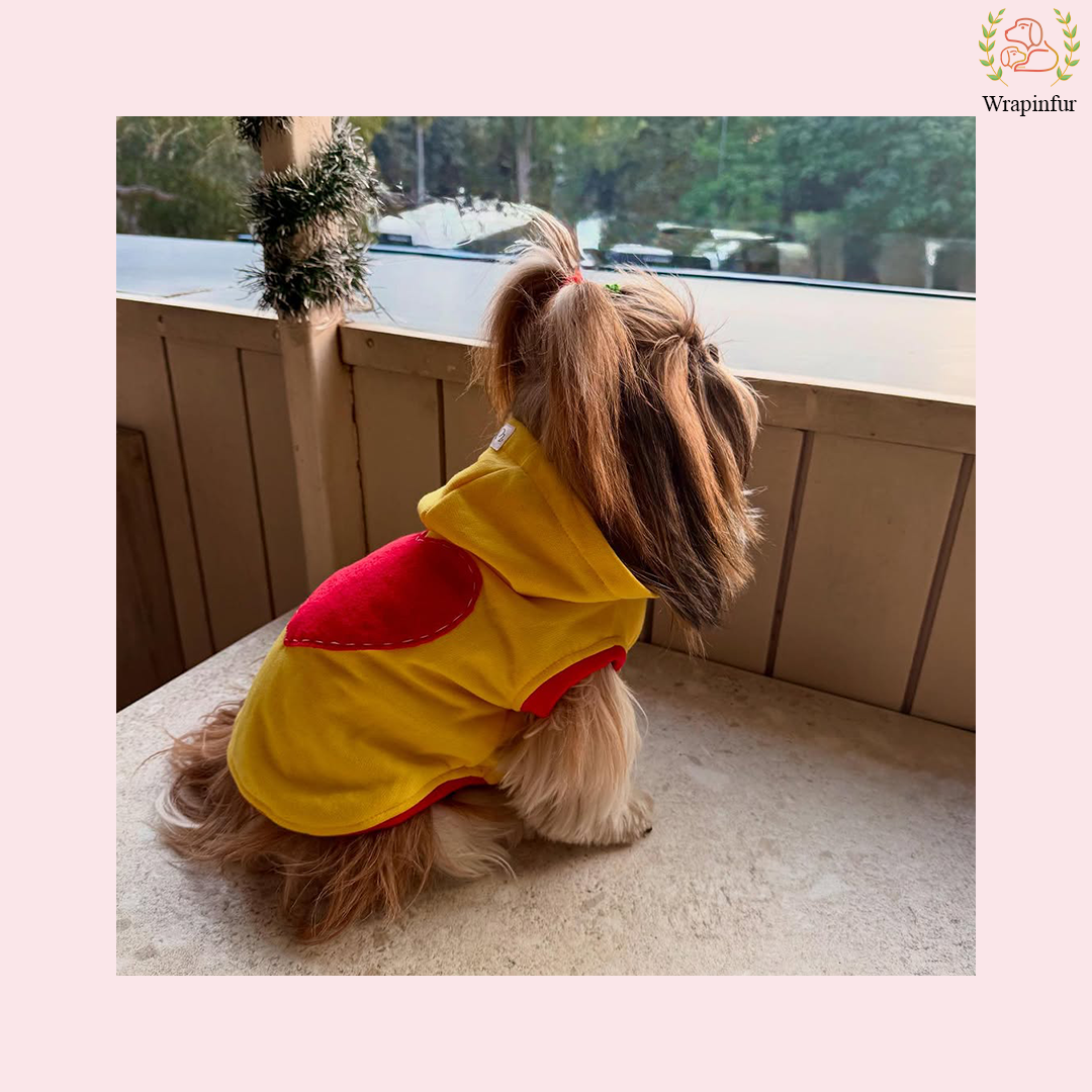 Yellow Love Sweatshirt – Warm & Stylish Pet Hoodie