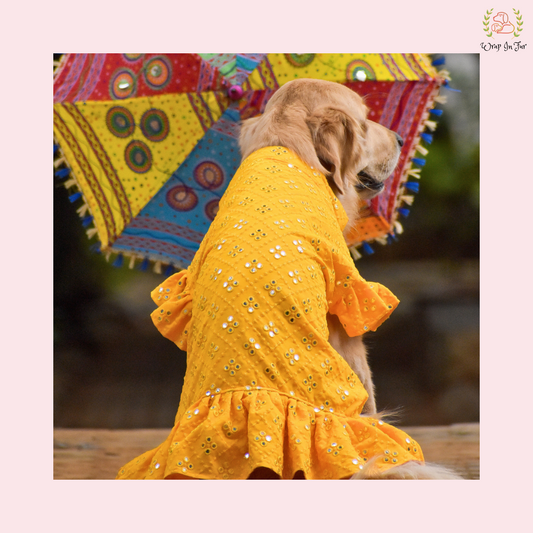 Yellow Mirror Frock Dog Wedding Dress – Designer Bridal Outfit for Pets