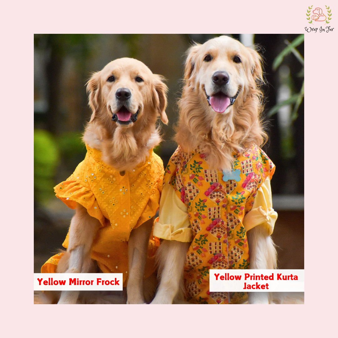 Yellow Mirror Dog Frock Wedding Dress Designer Bridal Outfit for Pets Yellow Mirror Dog Frock Wedding Dress Designer Bridal Outfit for Pets