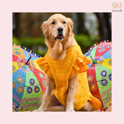 Yellow Mirror Frock Dog Wedding Dress – Designer Bridal Outfit for Pets