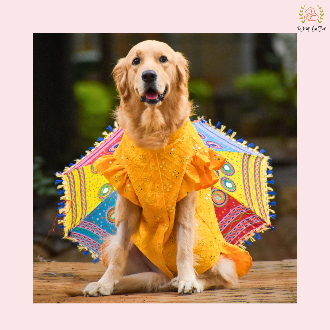 Yellow Mirror Dog Frock Wedding Dress Designer Bridal Outfit for Pets Wrapinfur Yellow Mirror Dog Frock Wedding Dress Designer Bridal Outfit for Pets Wrapinfur