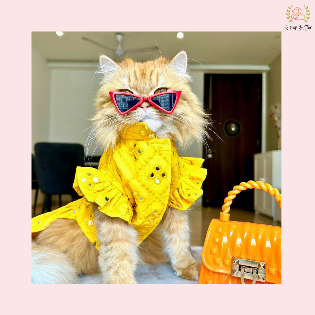 Yellow Mirror Frock Dog Wedding Dress – Designer Bridal Outfit for Pets