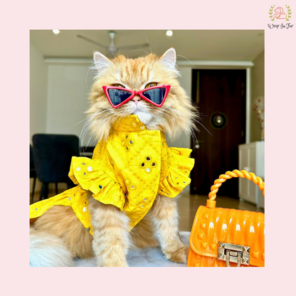 Yellow Mirror Frock Dog Wedding Dress – Designer Bridal Outfit for Pets