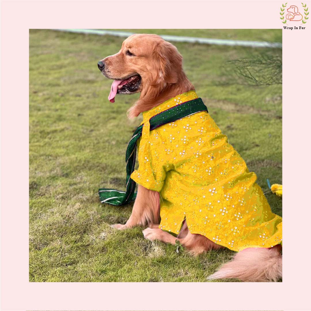 Yellow Mirror Work Dog Kurta with Green Dupatta - Indian Dog Ethnic Wear