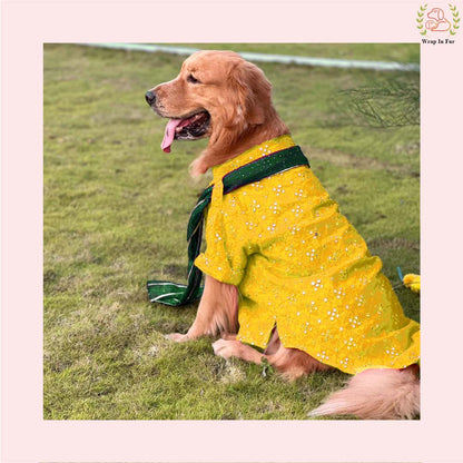 Yellow Mirror Work Dog Kurta with Green Dupatta - Indian Dog Ethnic Wear