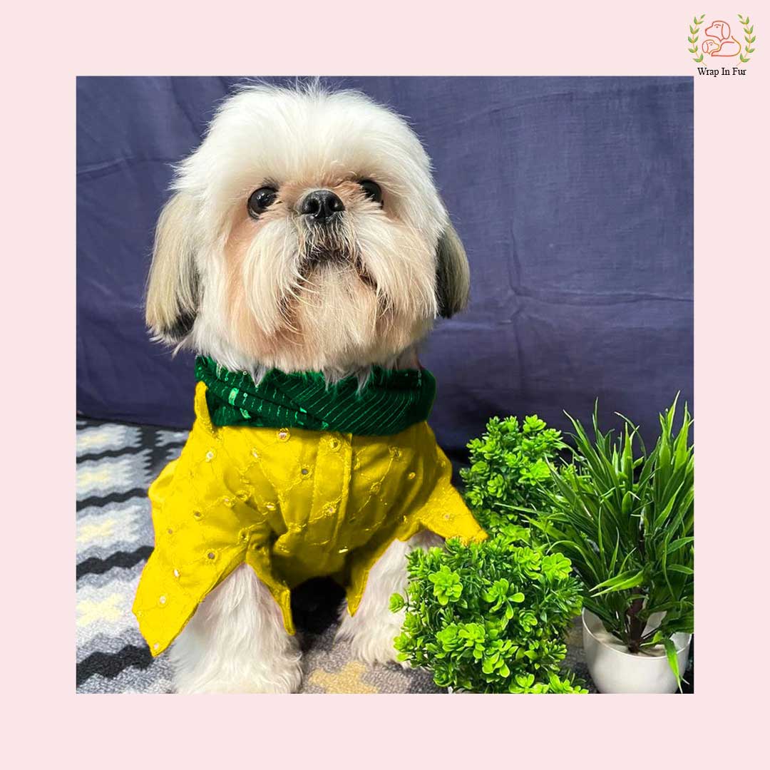 Yellow Mirror Work Dog Kurta with Green Dupatta - Indian Dog Ethnic Wear