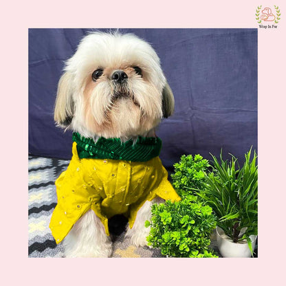 Yellow Mirror Work Dog Kurta with Green Dupatta - Indian Dog Ethnic Wear