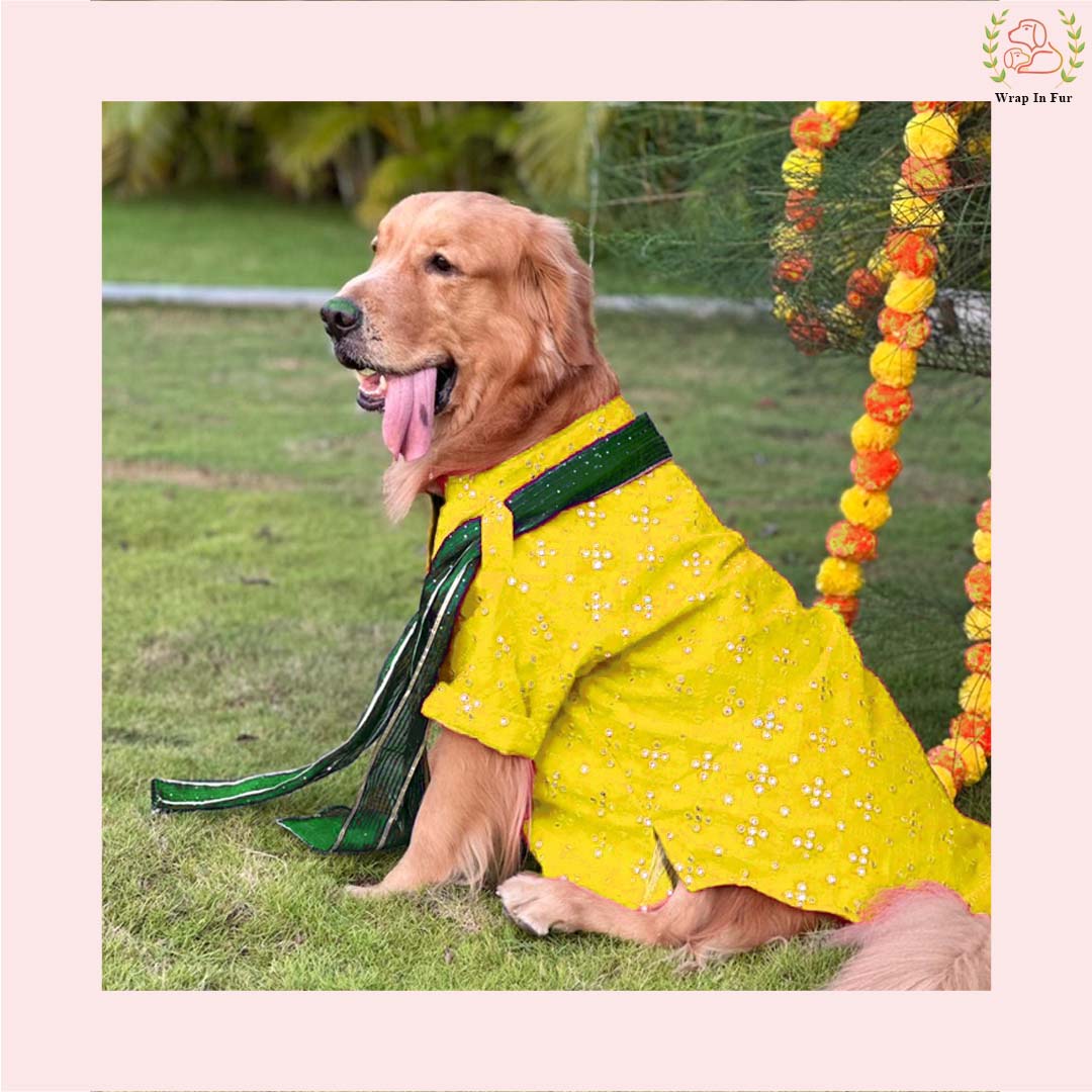 Yellow Mirror Work Dog Kurta with Green Dupatta - Indian Dog Ethnic Wear