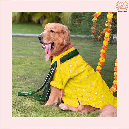Yellow Mirror Work Dog Kurta with Green Dupatta - Indian Dog Ethnic Wear