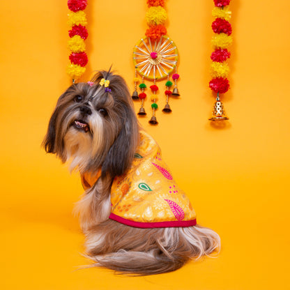 Yellow Patakha Dog Sherwani