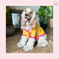 Yellow & Pink Dog Angarkha Kurta - Traditional Indian Dog Ethnic Wear
