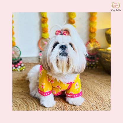 Yellow & Pink Dog Angarkha Kurta - Traditional Indian Dog Ethnic Wear