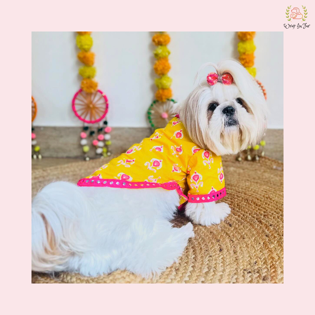 Yellow & Pink Dog Angarkha Kurta - Traditional Indian Dog Ethnic Wear