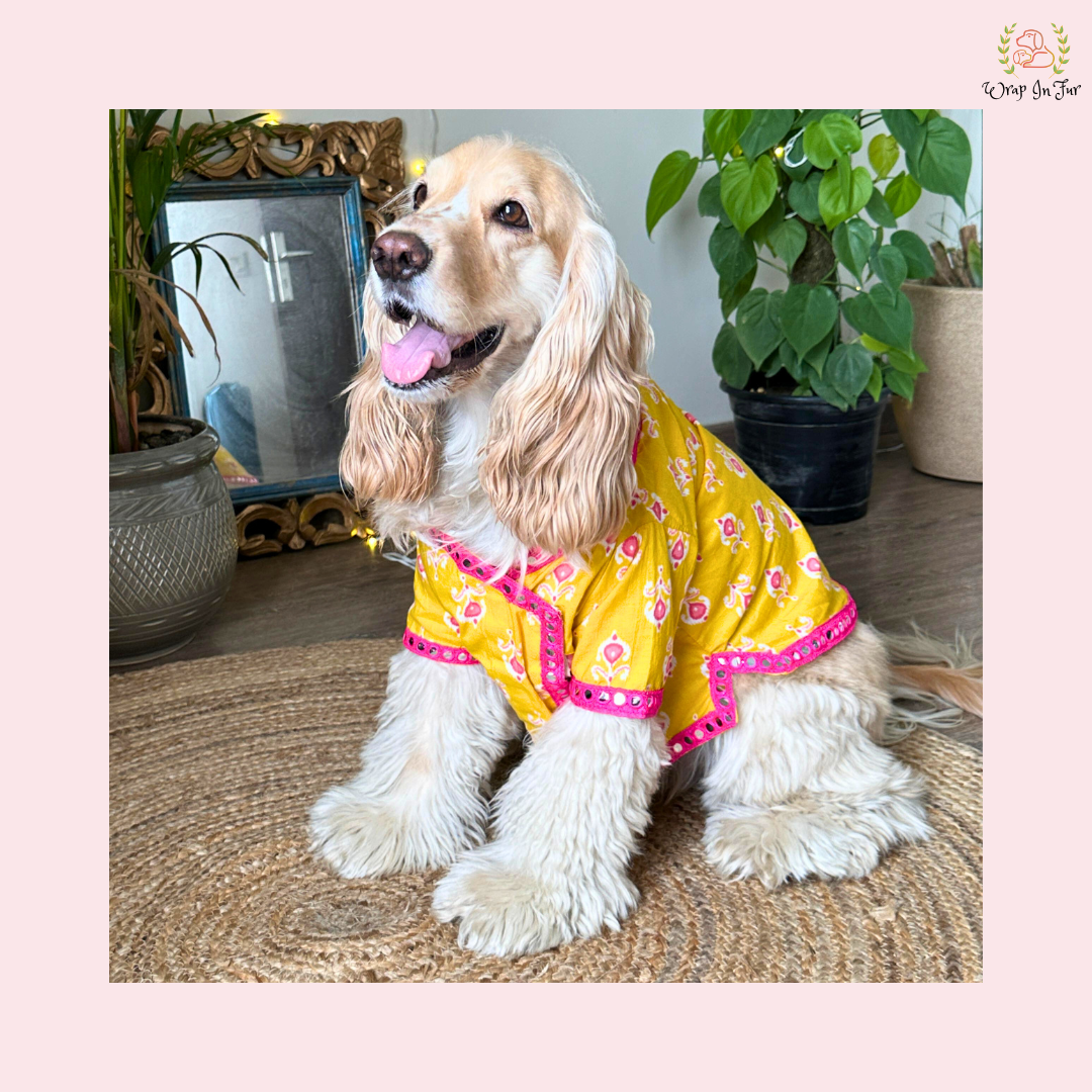 Yellow & Pink Dog Angarkha Kurta - Traditional Indian Dog Ethnic Wear