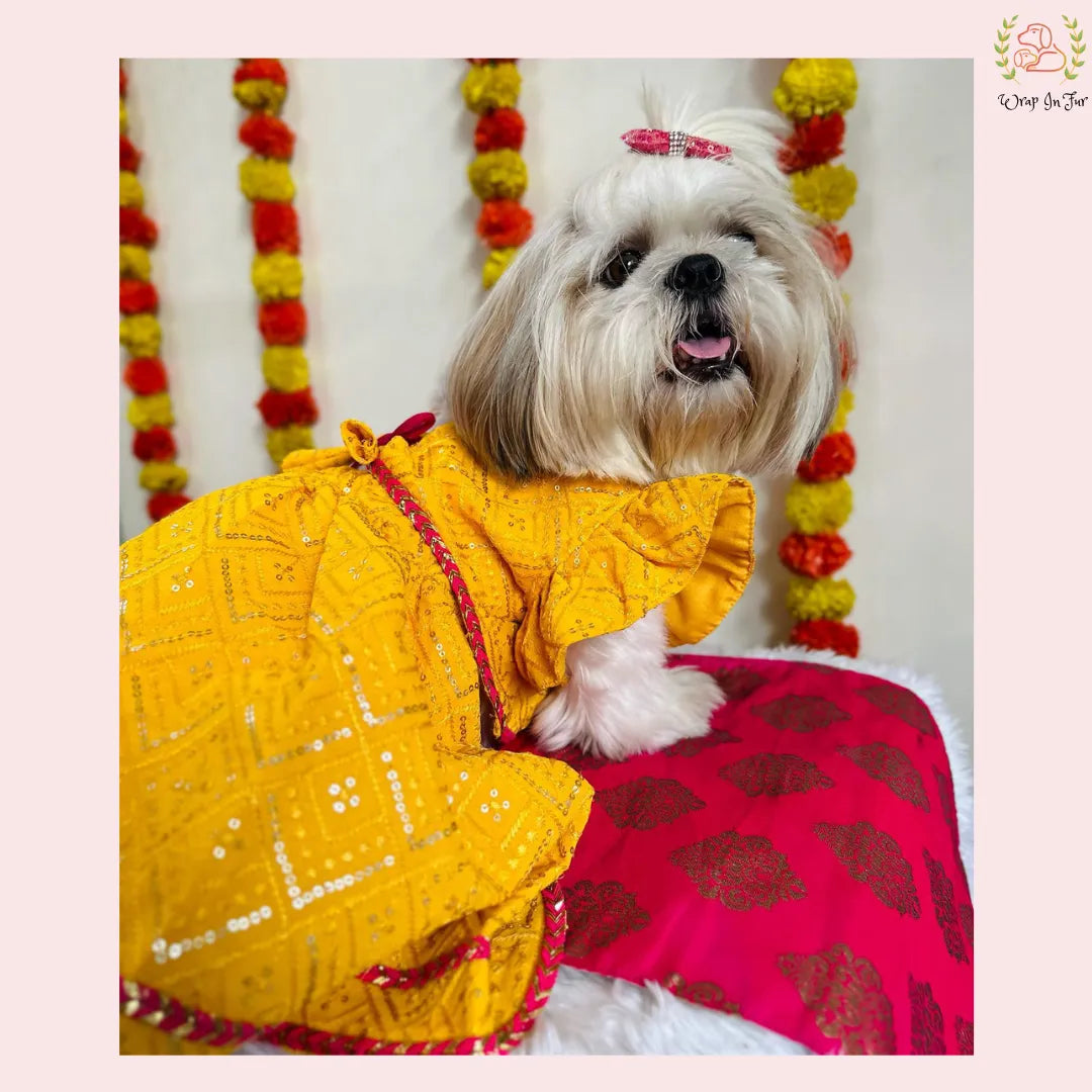 Yellow Pink Dog Lehenga Choli | Dog Wedding Dress Outfit