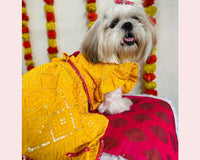 Yellow Pink Dog Lehenga Choli | Dog Wedding Dress Outfit