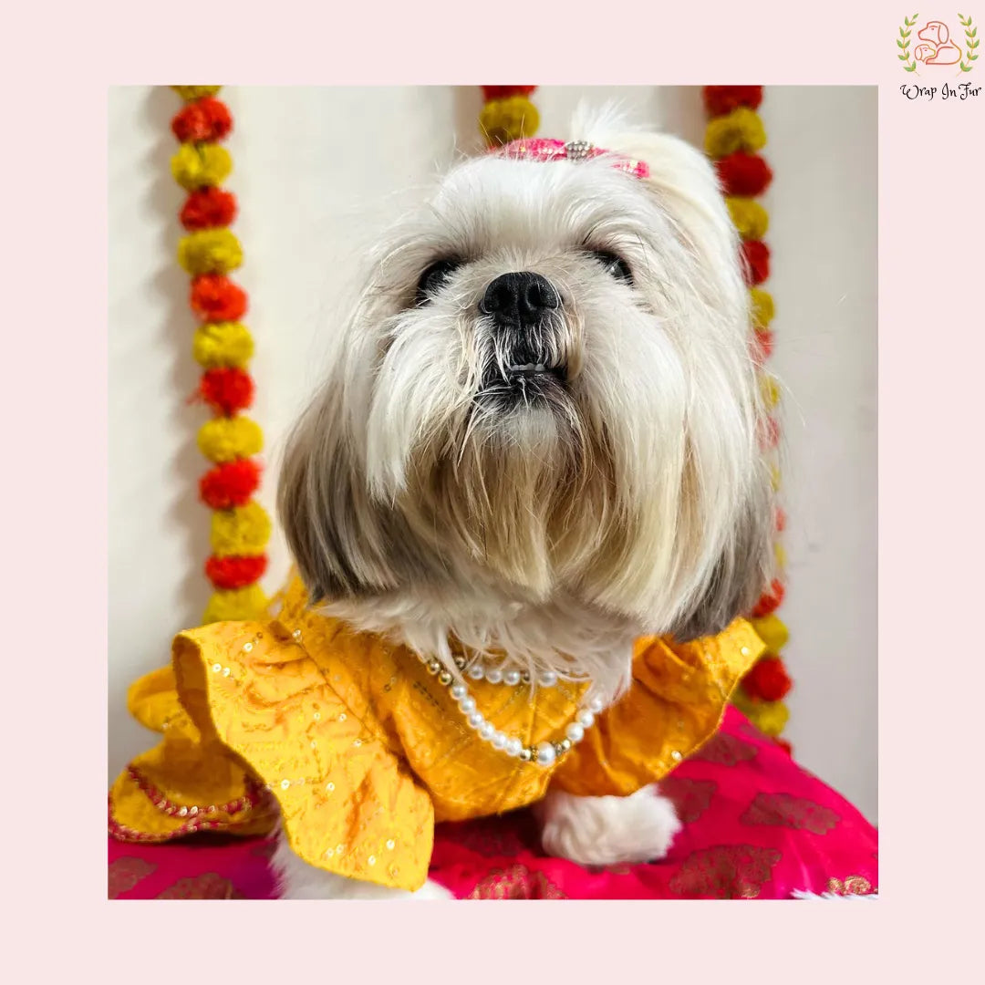 Yellow Pink Dog Lehenga Choli | Dog Wedding Dress Outfit