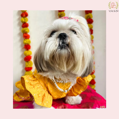 Yellow Pink Dog Lehenga Choli | Dog Wedding Dress Outfit