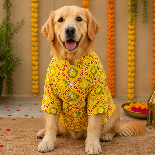 Yellow bandhani Dog Kurta