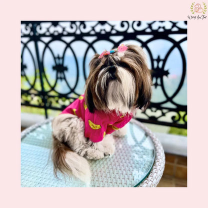 banana dog shirt for shihtzu 