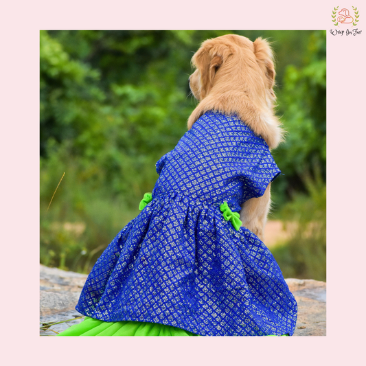 Blue Green ChakaChak Frock