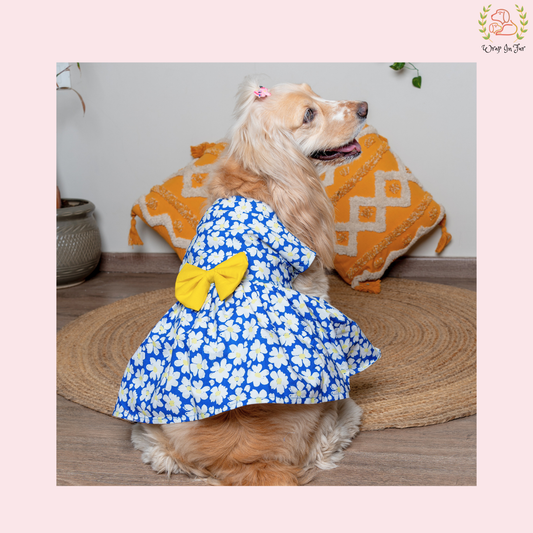 blue dog frock summer wear