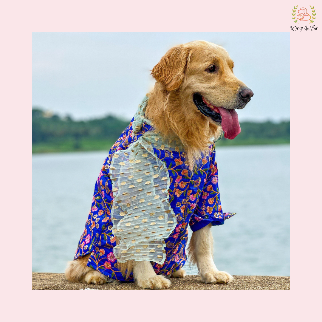 Blue Floral Dog Kurta With Dupatta