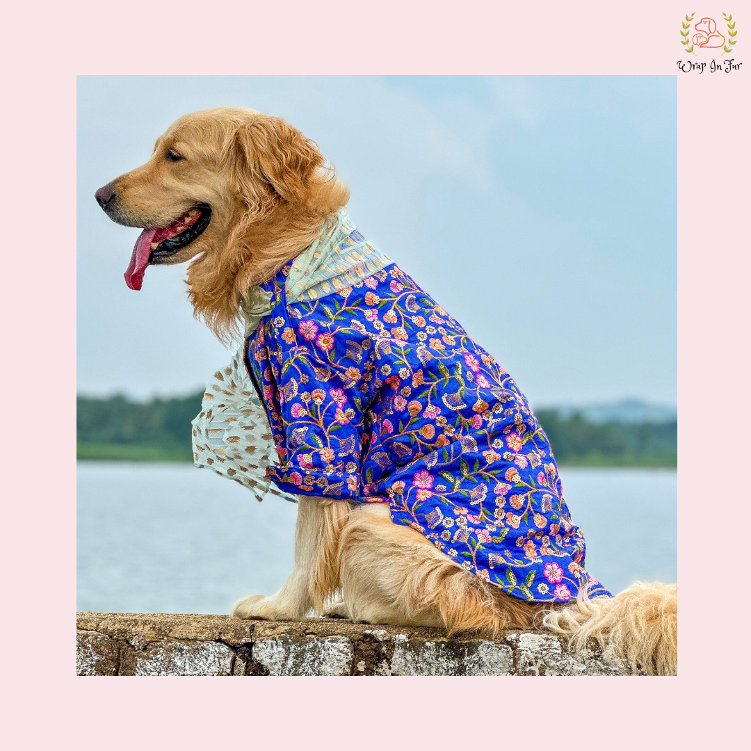 Blue Floral Dog Kurta With Dupatta