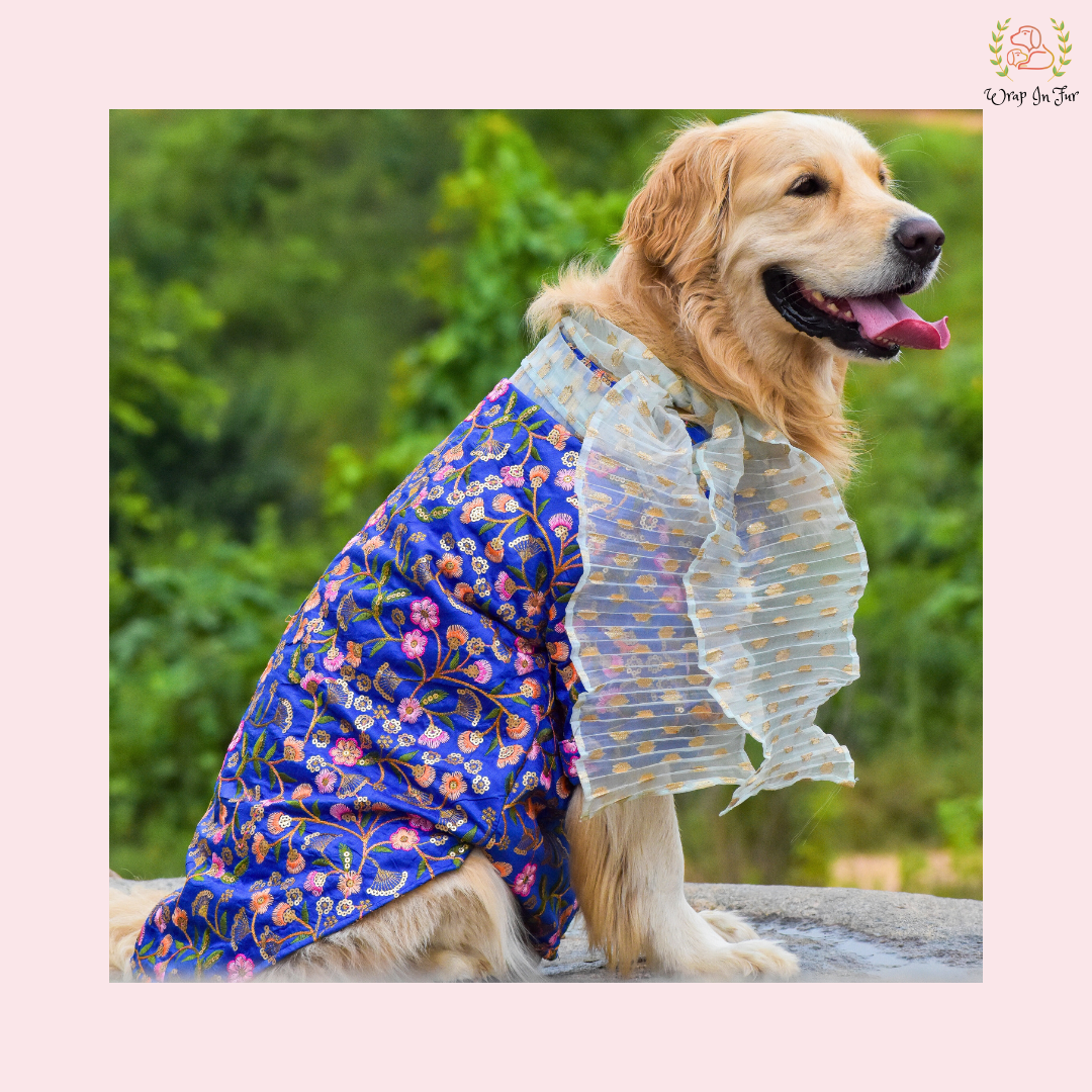 Blue Floral Dog Kurta With Dupatta