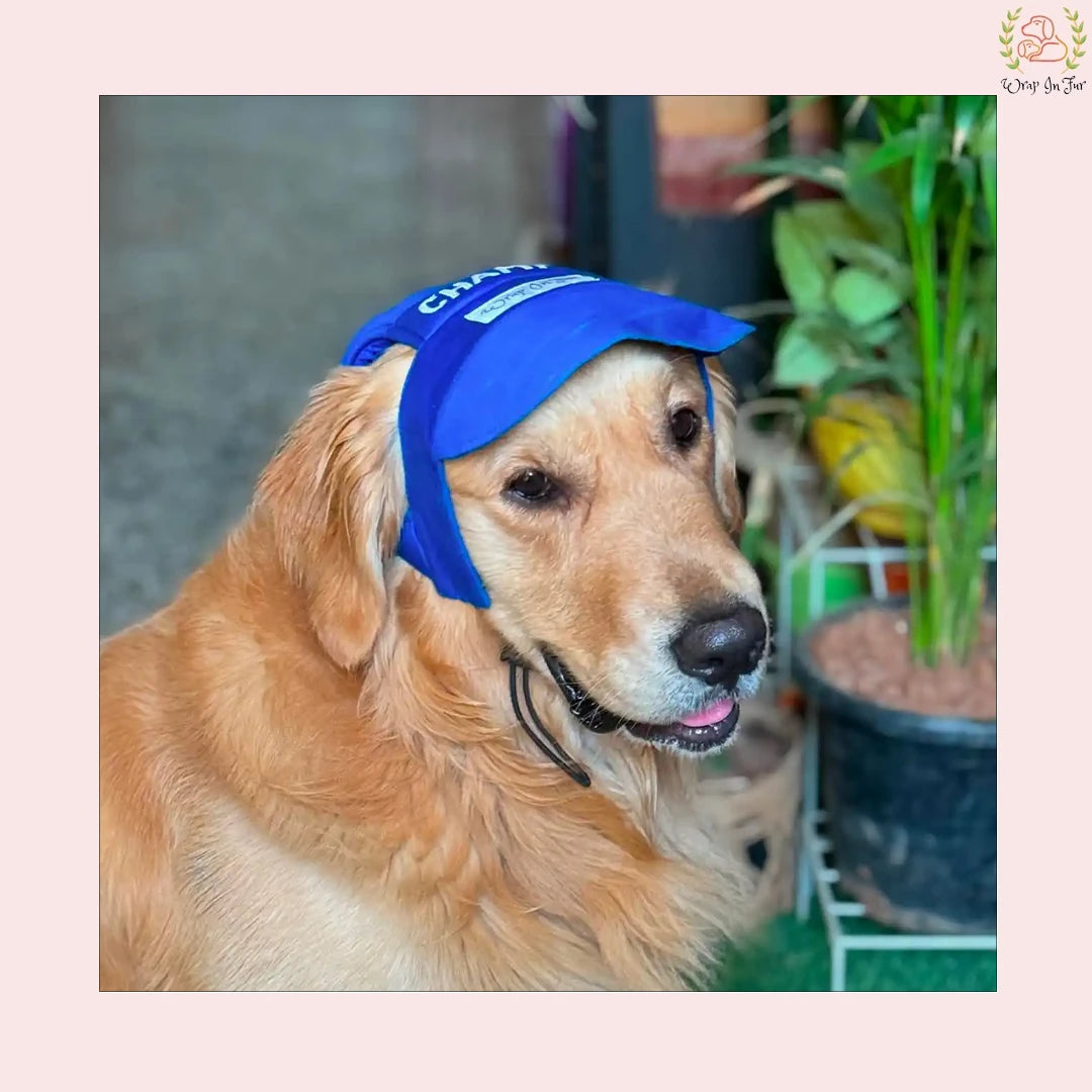 online personalised dog cap in India