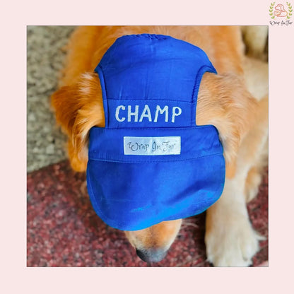 Blue Dog Cap with name tag for small dog