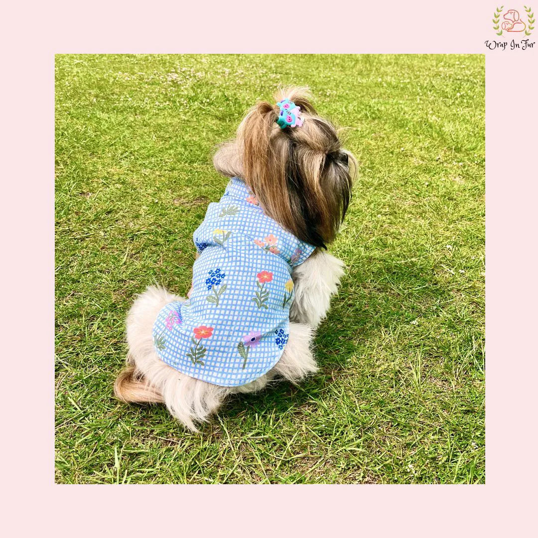 butterfly dog shirt for shihtzu