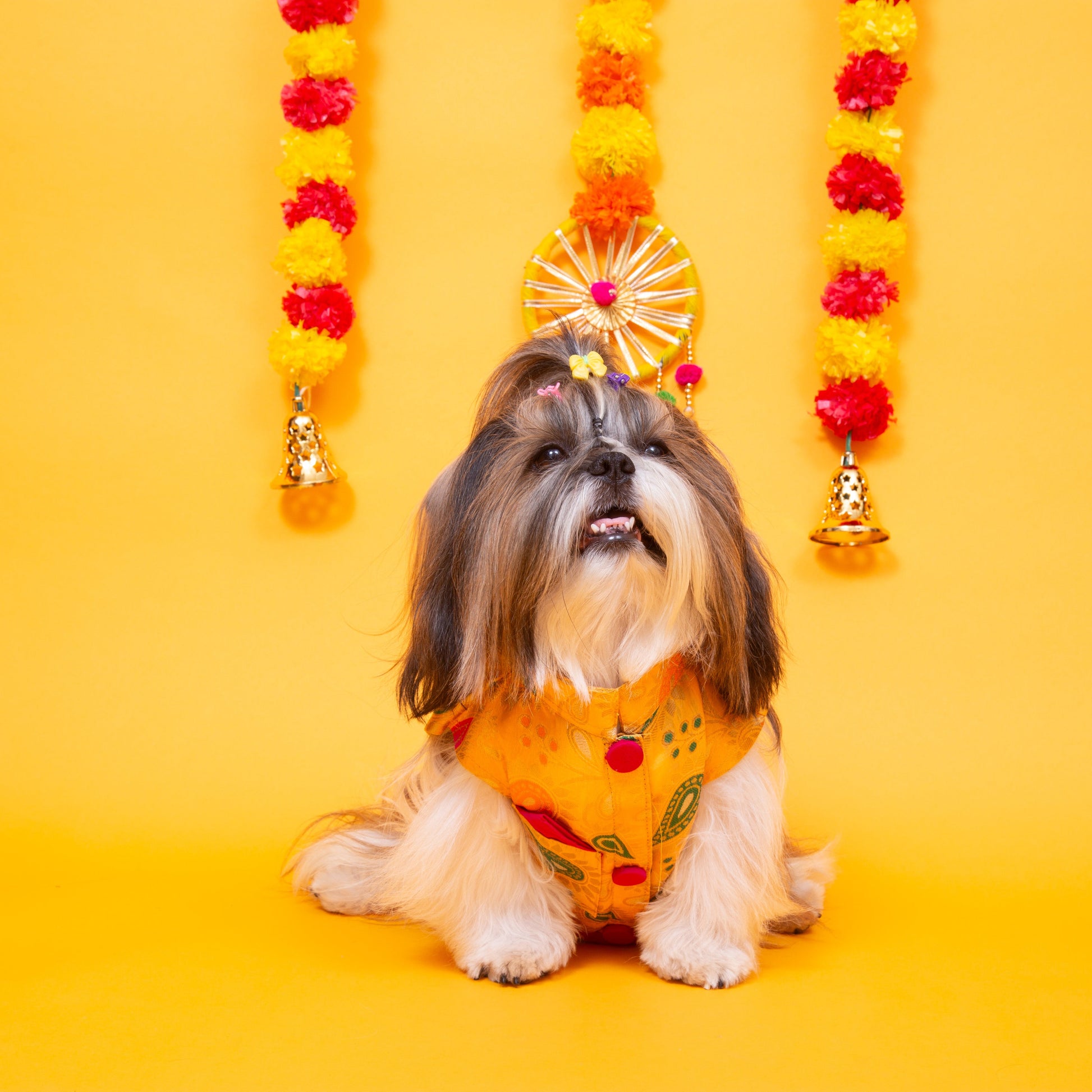 buy dog sherwani