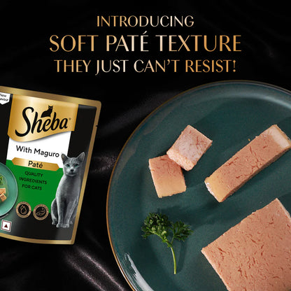 Sheba Maguro Pate Wet Food For Adult Cat - 70 gm
