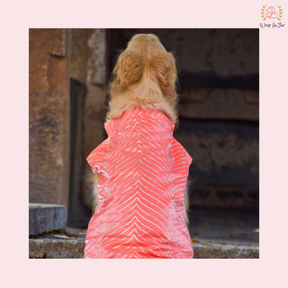 Coral Golden Sherwani