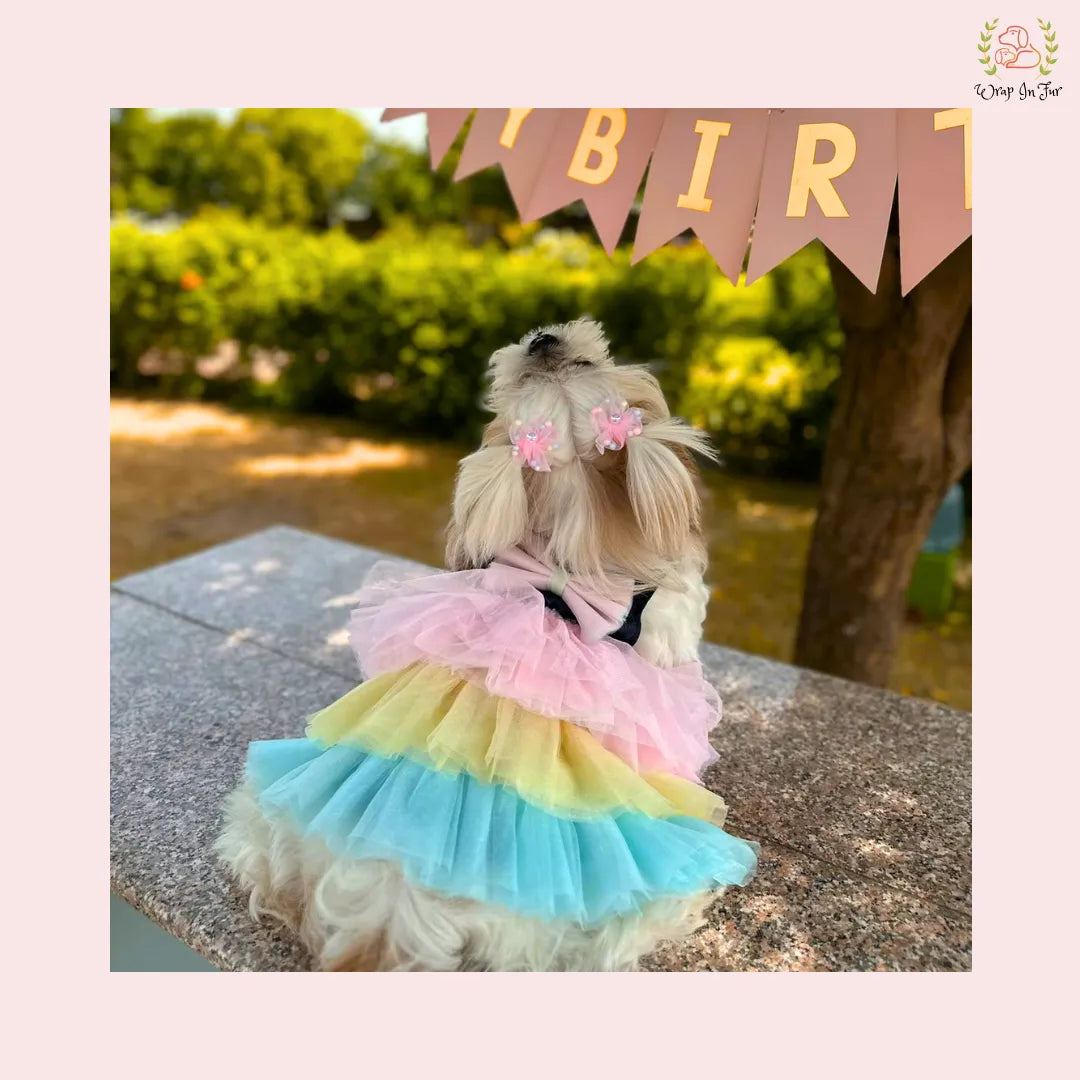 buy cotton candy dog frock for pug